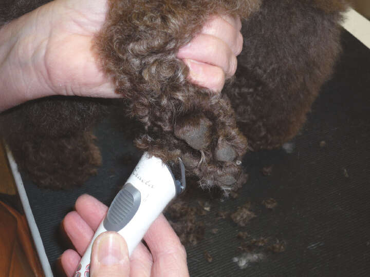 AESCULAP Akkutrimmer Exacta